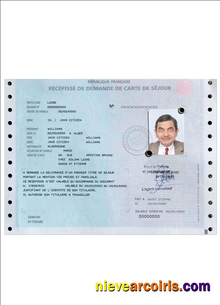 French residence permit (carte de séjour)